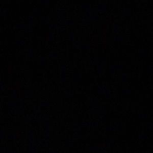 Meet your Posher, Lily